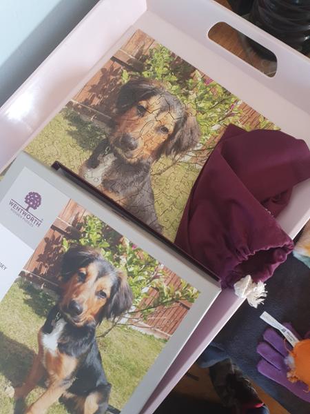 Dog jigsaw