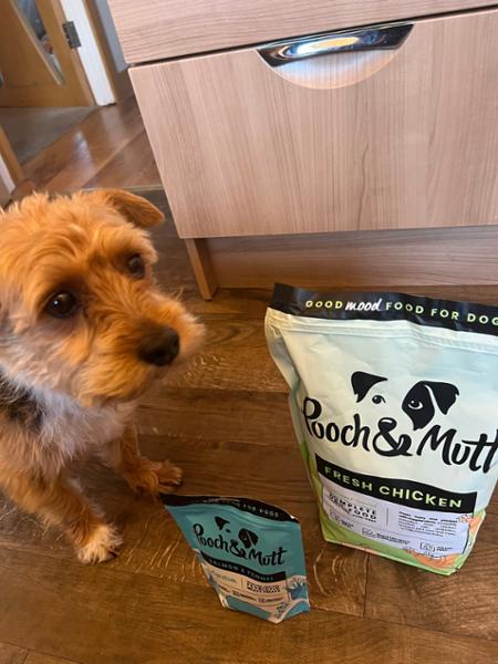Doggos and their hoomans love Pooch&Mutt