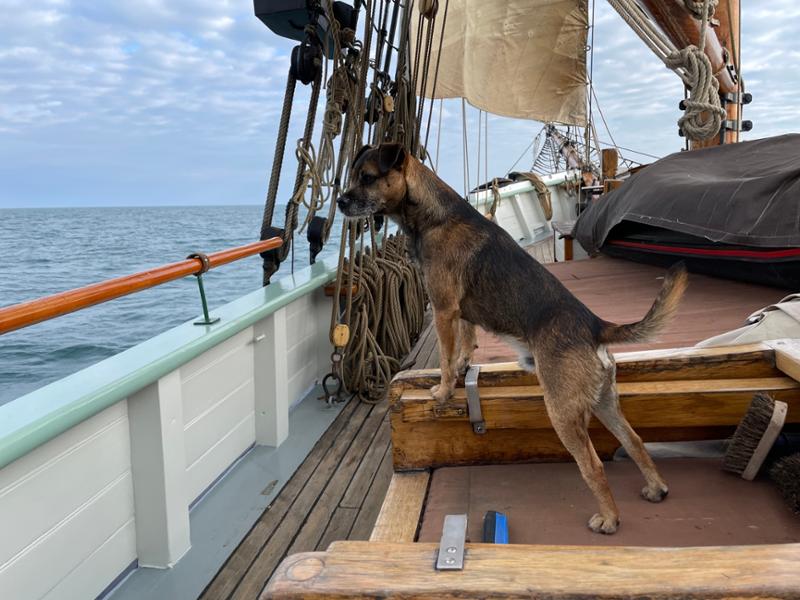 A Sailors’ Voyage to Scotland