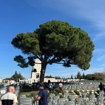 5175-Türkiye & Gallipoli Dawn Service