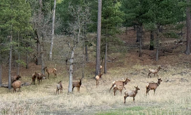 America’s National Parks and. Canyons April/May 2025