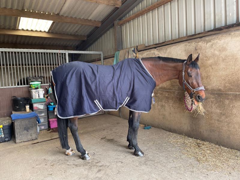 LeMieux Arika Stable Sheet Rug Navy -6'6