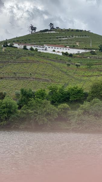 Douro  Porto & Salamanca River Cruise