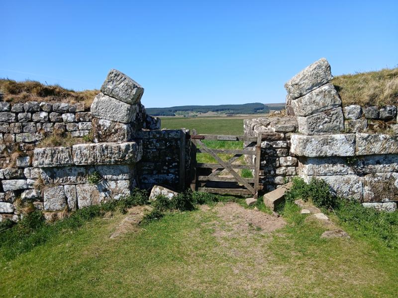 The Romans should have hung around until Contours were around to book their