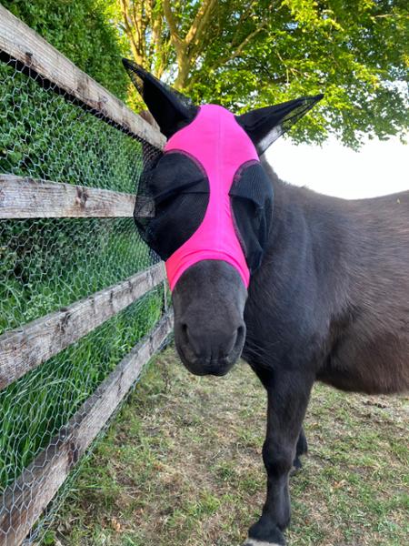 Pretty in pink