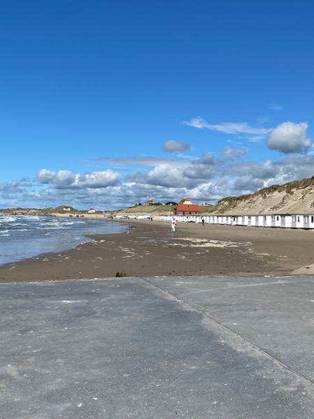 Fungerat bra men svårt boka på datorn Norra Jylland. Fick anlita annan bokn