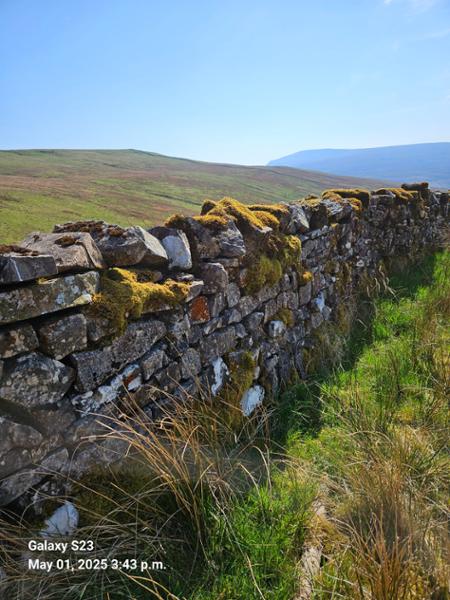Dales Way - April 2025