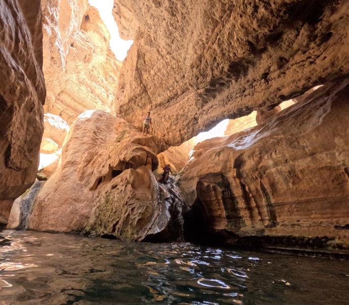 Discover the South & Wadi Shab