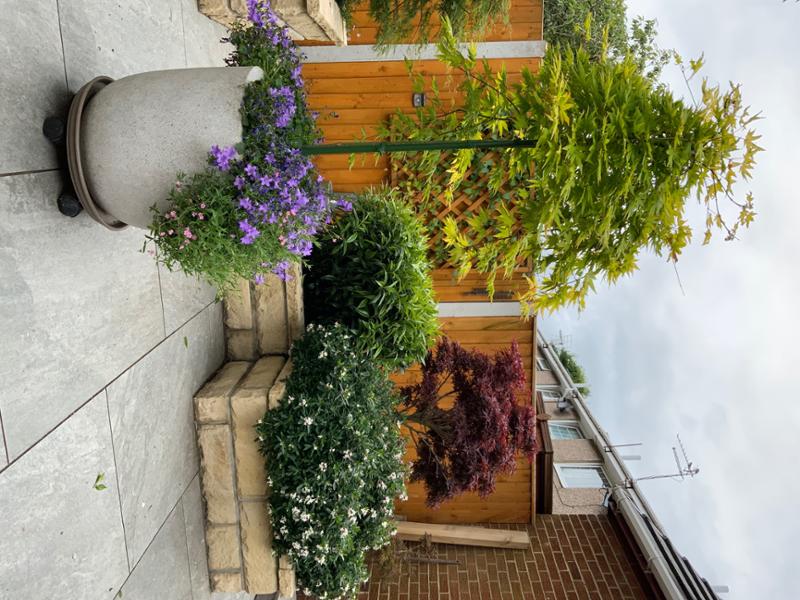 Flower power is amazing for your plants