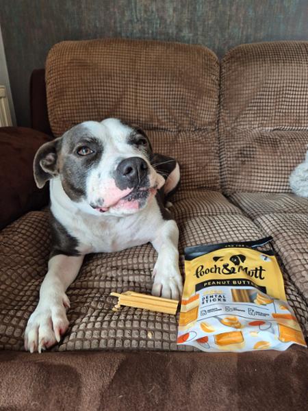 Weight Loss Dry Dog Food | 2kg | Low Calorie & Low Fat | Grain Free & Natural Ingredients | Pooch & Mutt | Vet Recommended