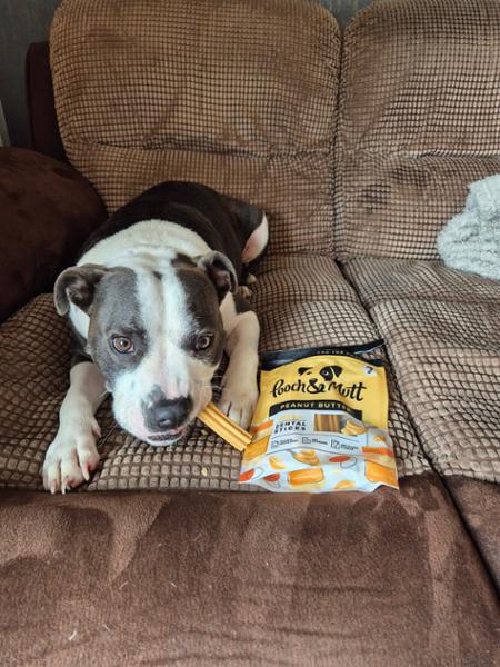 Weight Loss Dry Dog Food | 2kg | Low Calorie & Low Fat | Grain Free & Natural Ingredients | Pooch & Mutt | Vet Recommended