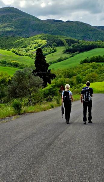 A wonderful walk