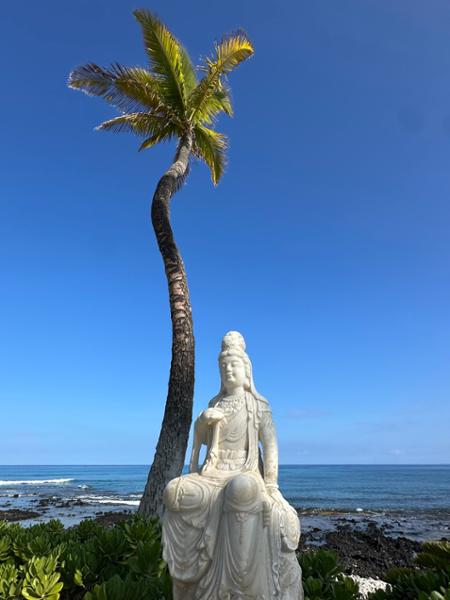 Terrific time touring Hawaii!