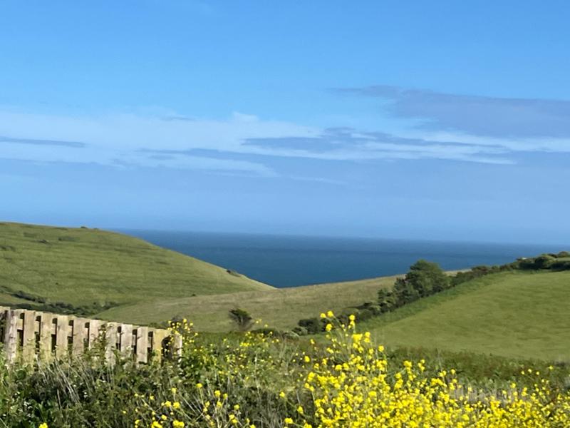 Weston Farm Campsite