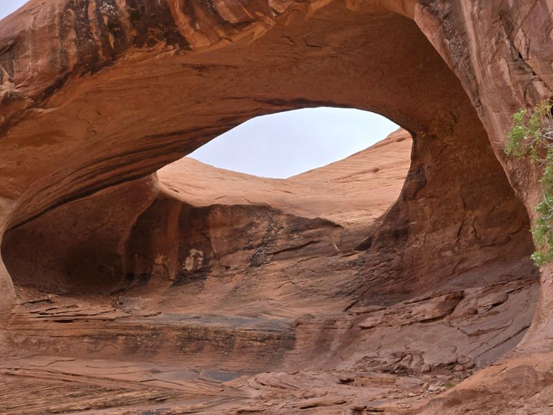 Awesome Trip of the Southwest!