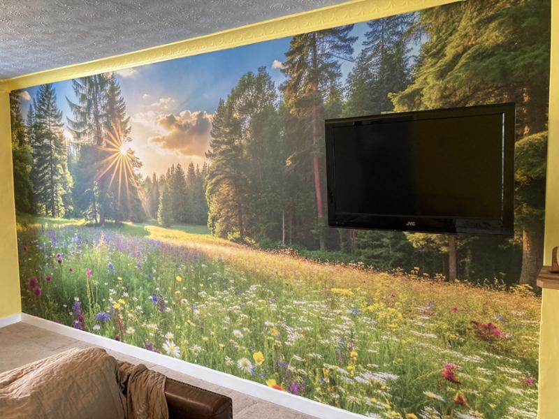 Fantastic feature wall