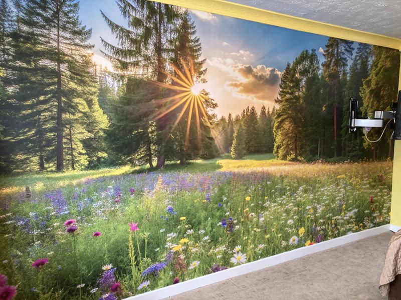 Fantastic feature wall