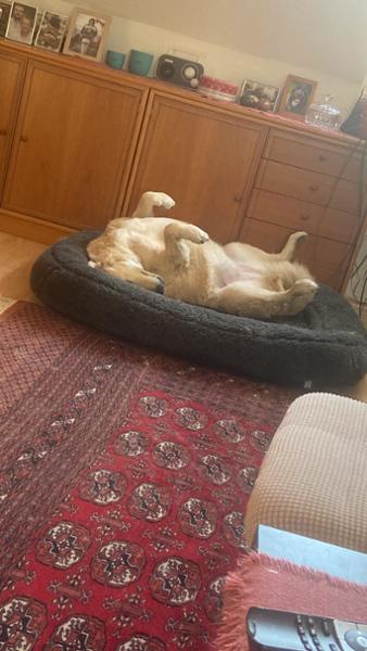 Sehr guter Service und bestes Hundefutter was ich kenne!
