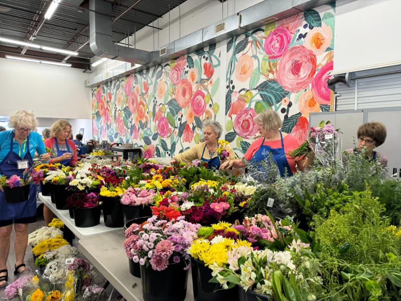 Absolutely Amazing Murals And Service