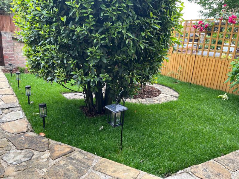 Superb quality lawn.