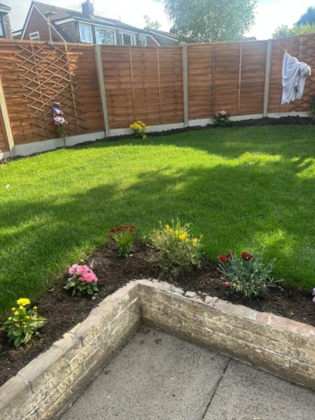 Top Class Turf