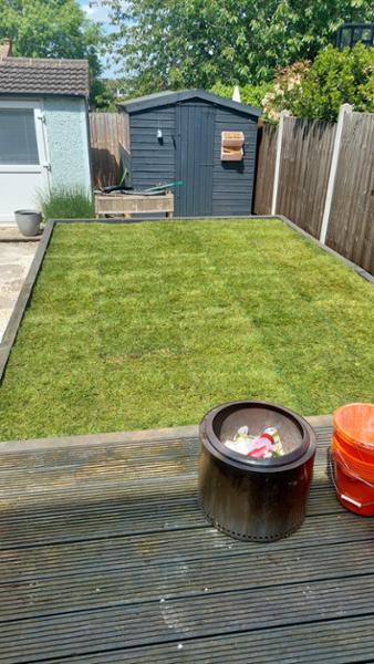 Turf Purchase