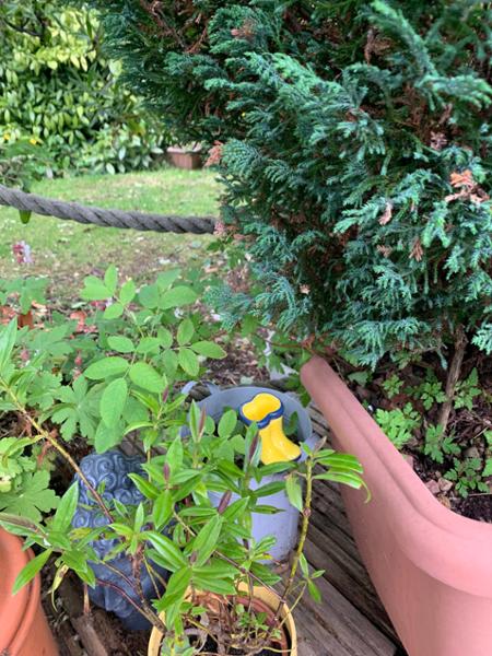 RNLI Yellow Welly Garden Planter Small