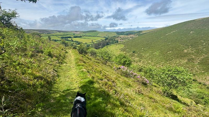 A great walk in lovely countryside