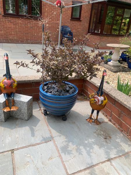 Handmade Tin Upcycled Sitting Duck Garden Ornament