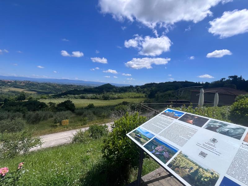Private Rome to Florence Transfer Tour