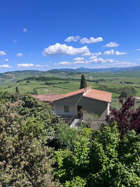 Private Rome to Florence Transfer Tour
