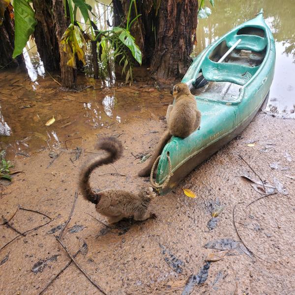 Good flight and transfer planning in Madagascar