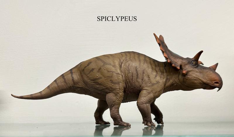 Ceratopsians, keep em coming, Please.