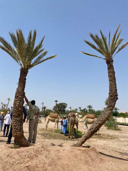Marrakesh and The Atlas Mountains