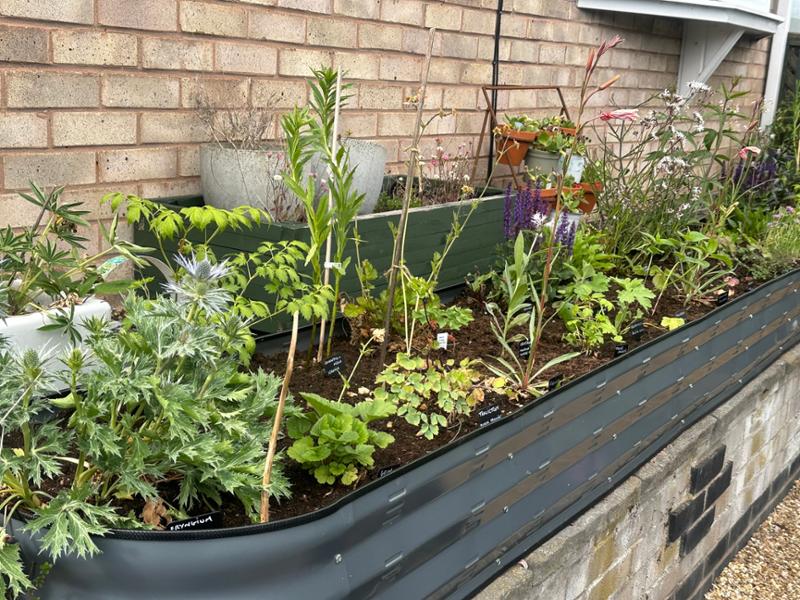Great quality & value raised planter