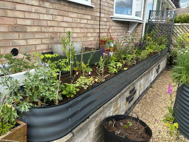 Great quality & value raised planter