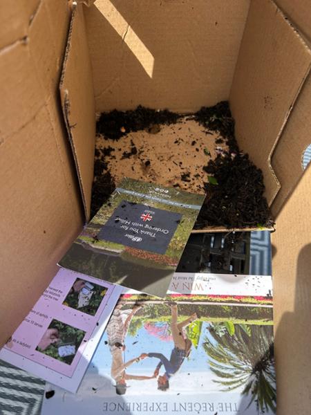 Bitterly disappointed of the quality of the plant and careless packing