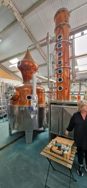 Silent Pool Gin Distillery Tour