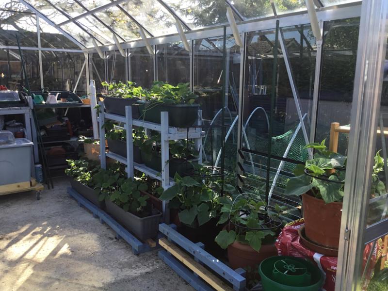My Rhyno greenhouse 8ft x14ft