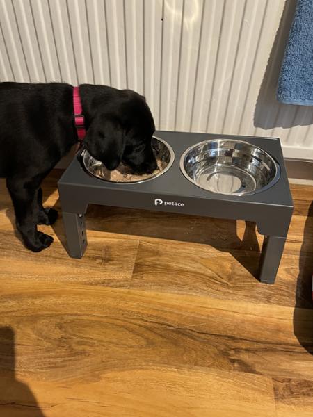Tribal Cold Pressed Chicken Dry Puppy Food