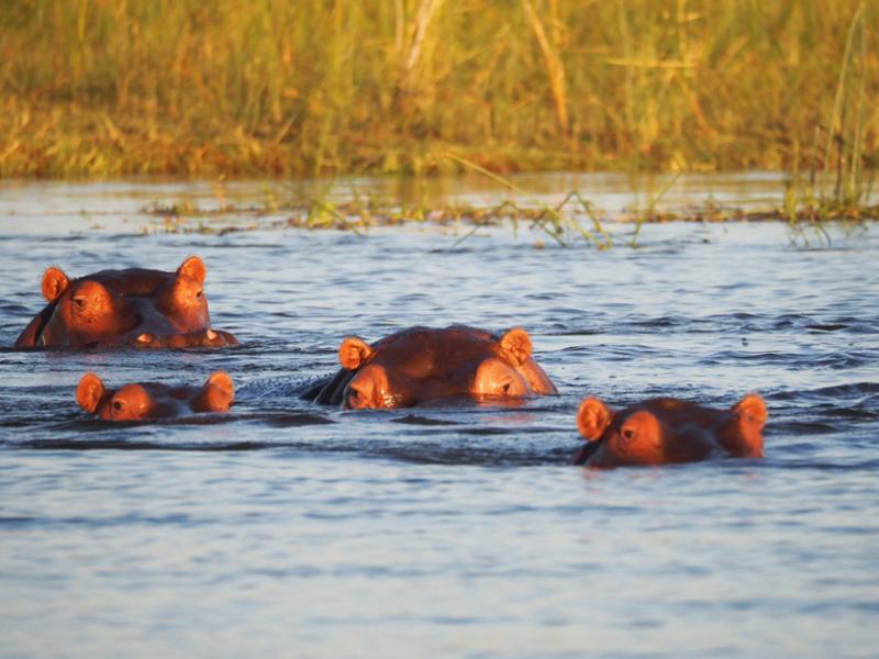 A flawless adventure to Southern Africa made possible by Go2Africa