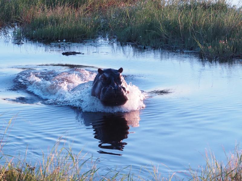 A flawless adventure to Southern Africa made possible by Go2Africa
