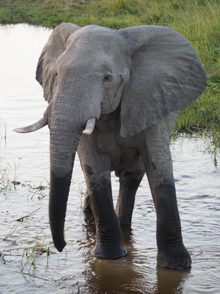 A flawless adventure to Southern Africa made possible by Go2Africa