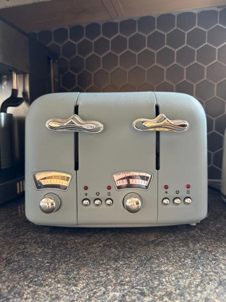 CT04.AZ Argento Flora Toaster