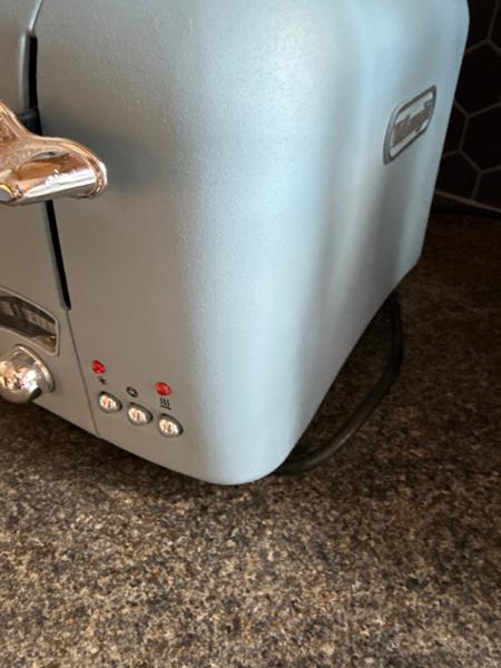 CT04.AZ Argento Flora Toaster