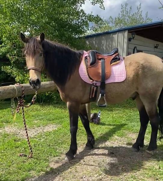 WEATHERBEETA PRIME AIR-TEC ALL PURPOSE SADDLE PAD LIGHT PINK LARGE