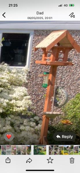 Beautiful bird feeder