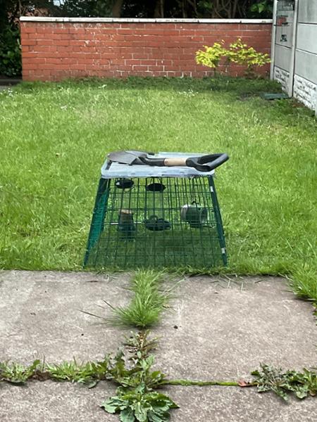 Ground Feeder Guardian
