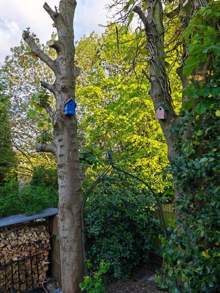 Great nesting box