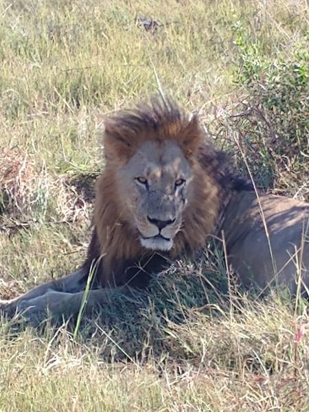 Wonderful African vacation